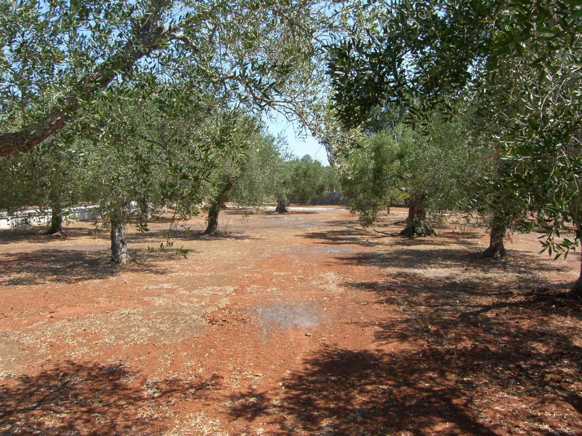Villa Miliceddu Tricase Buitenkant foto