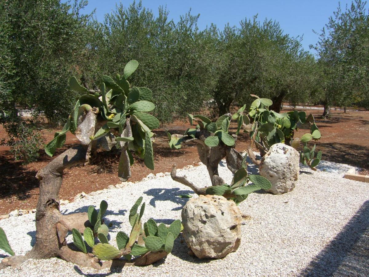 Villa Miliceddu Tricase Buitenkant foto